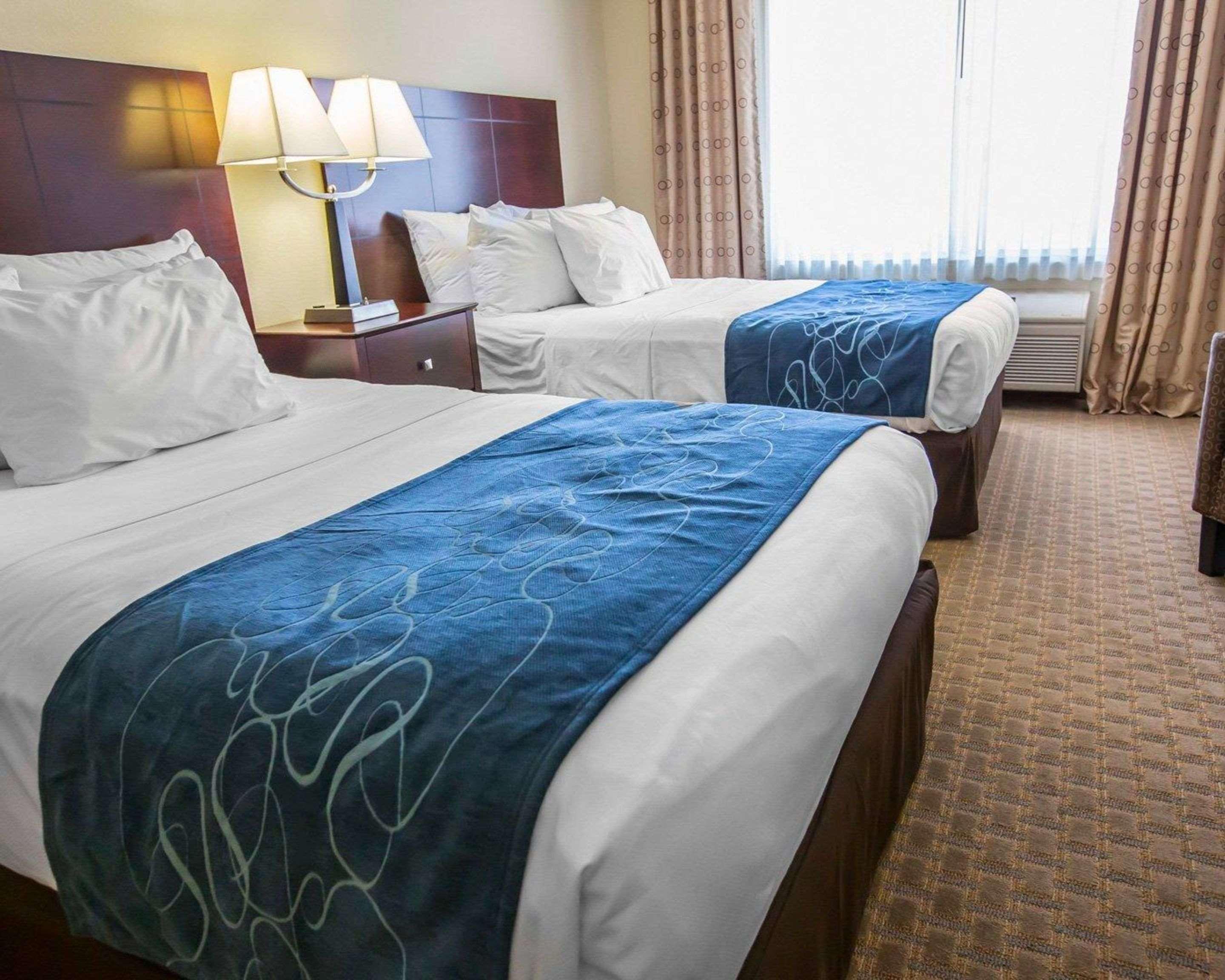 คอมฟอร์ต สวีท ยูนิเวอร์ซิตี้ แอเรีย นอทร์ดาม - เซาท์ เบนด์ Hotel เซาท์เบนด์ ภายนอก รูปภาพ
